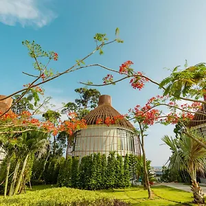 Bird Nest By Mafiya ***** Sihanoukville
